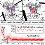 Direct Dynamics Studies of a Binuclear Metal Complex in Solution: The Interplay Between Vibrational Relaxation, Coherence, and Solvent Effects